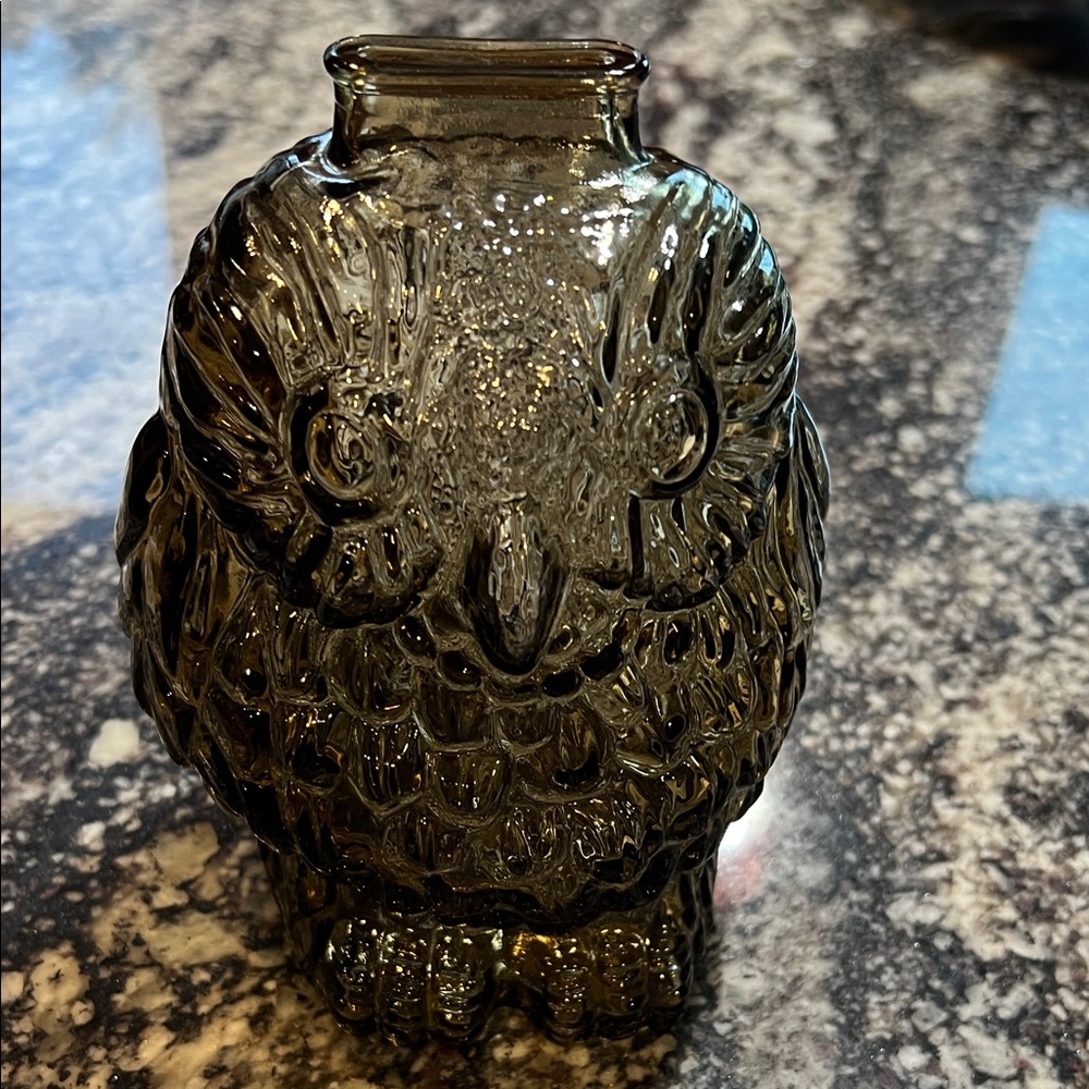 Vintage Wise Old Owl Shaped Glass Coin Bank